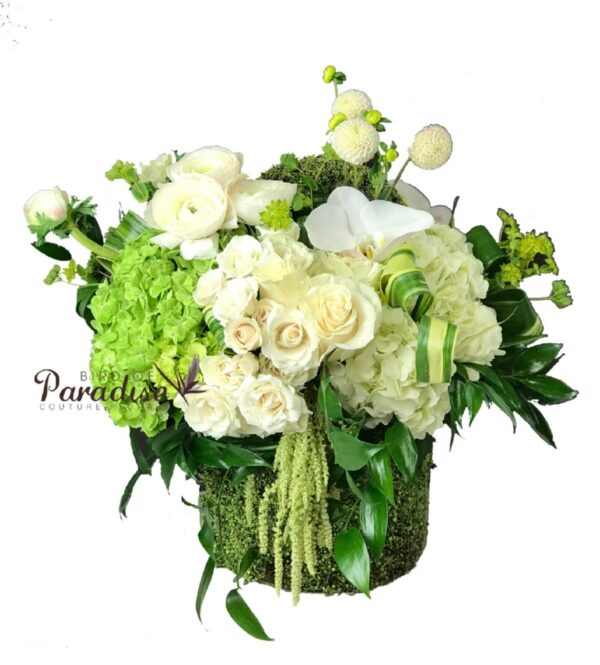 Basket of Glory