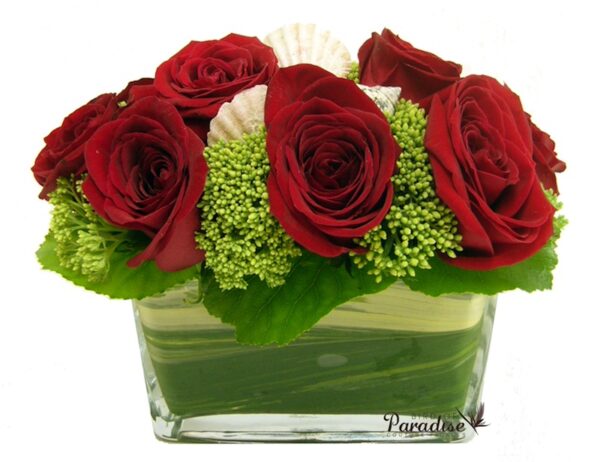 Lovely Rose
