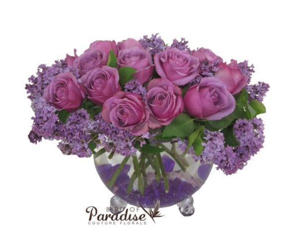Purple Lilac