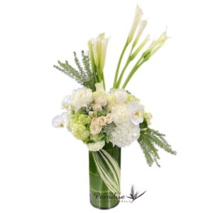 Heavenly Calla
